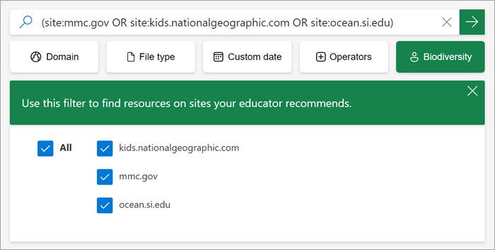 screenshot of how the custom filter appears to students when it is on