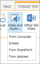 Insert Video or audio button in the edit ribbon