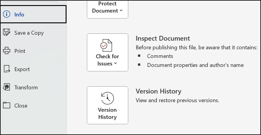 Version History in Word